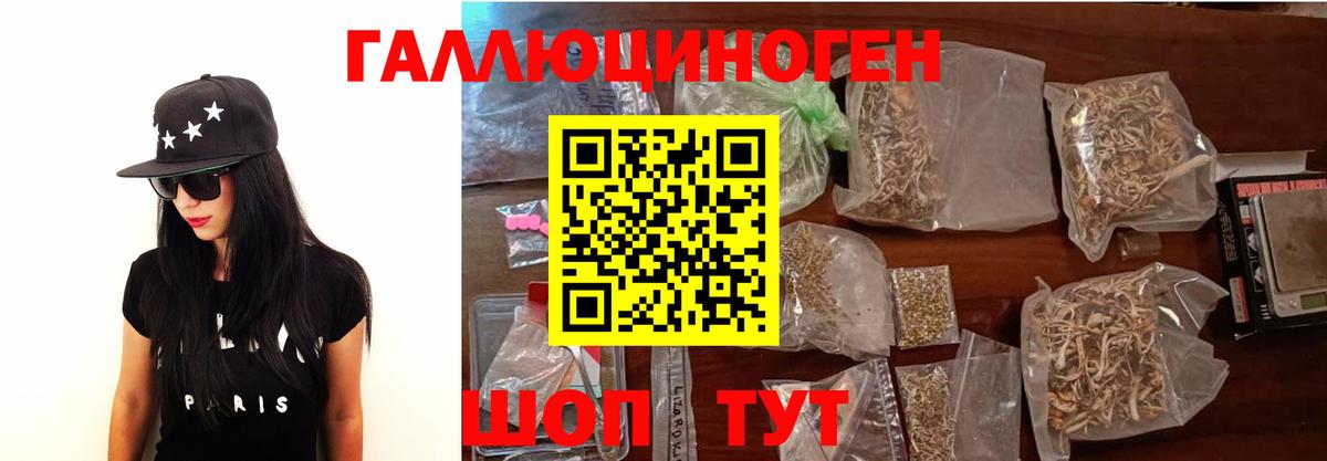 Псилоцибиновые грибы прущие грибы  Вход с VPN  Большой Камень 